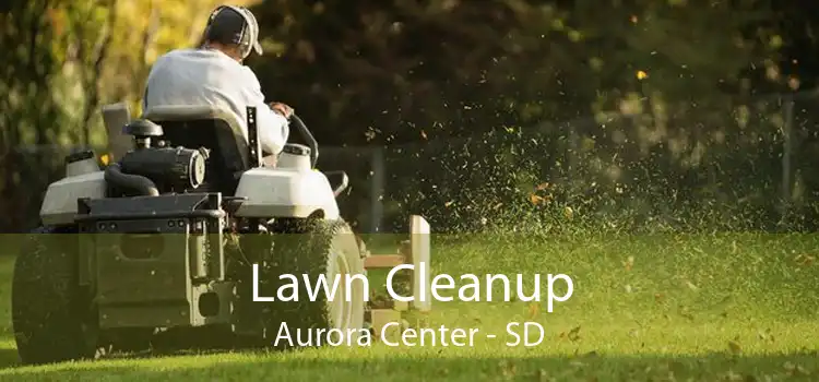Lawn Cleanup Aurora Center - SD
