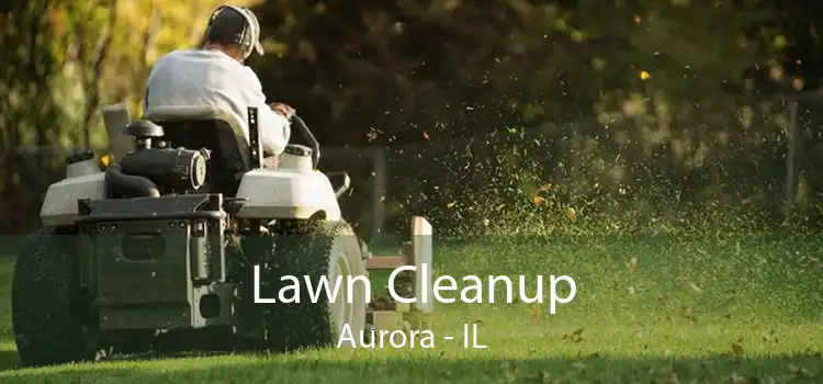 Lawn Cleanup Aurora - IL