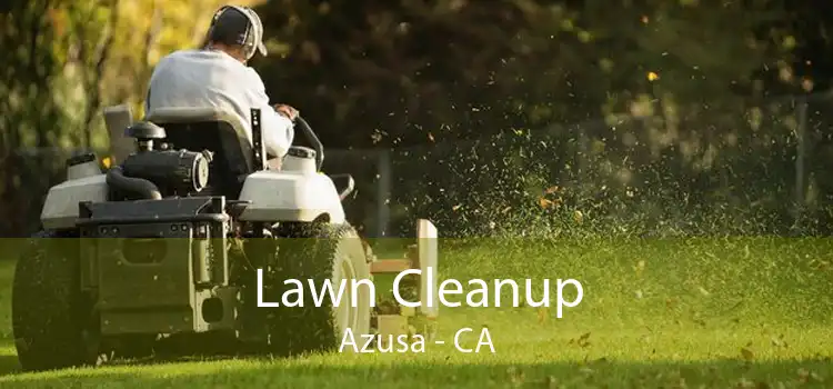 Lawn Cleanup Azusa - CA