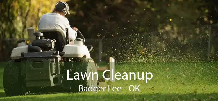 Lawn Cleanup Badger Lee - OK