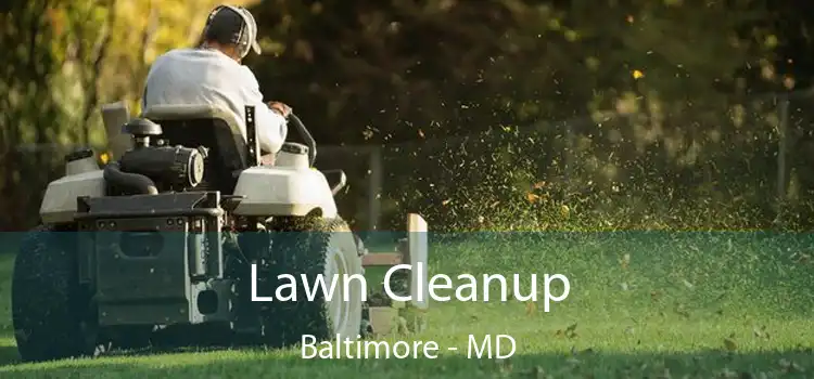 Lawn Cleanup Baltimore - MD