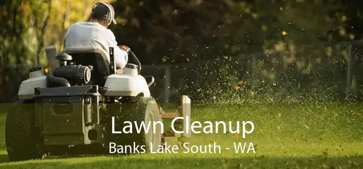 Lawn Cleanup Banks Lake South - WA