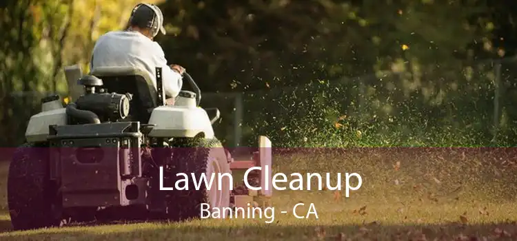 Lawn Cleanup Banning - CA