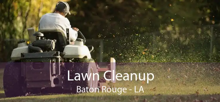 Lawn Cleanup Baton Rouge - LA