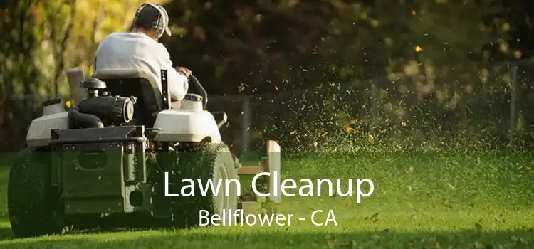 Lawn Cleanup Bellflower - CA