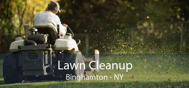 Lawn Cleanup Binghamton - NY