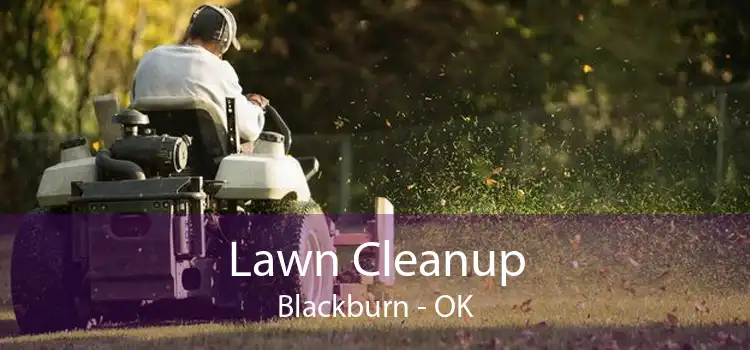 Lawn Cleanup Blackburn - OK