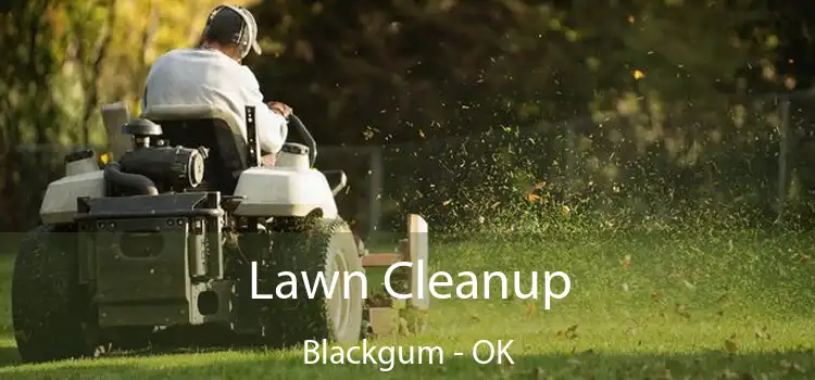 Lawn Cleanup Blackgum - OK