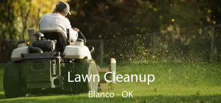 Lawn Cleanup Blanco - OK