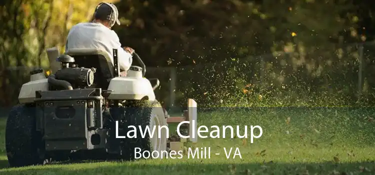 Lawn Cleanup Boones Mill - VA