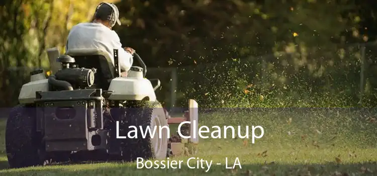 Lawn Cleanup Bossier City - LA