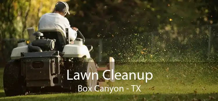 Lawn Cleanup Box Canyon - TX