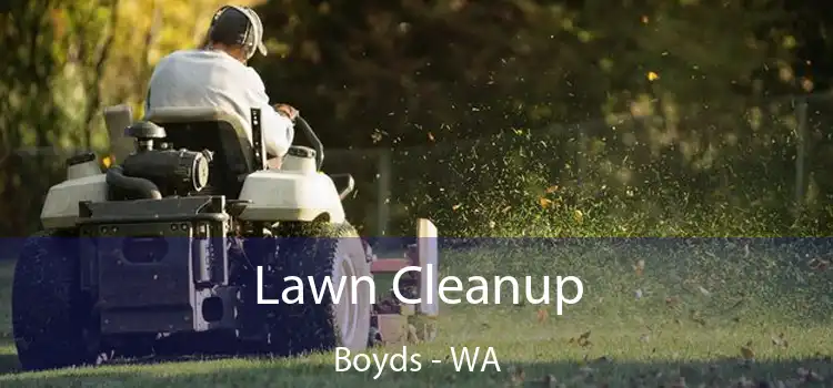 Lawn Cleanup Boyds - WA
