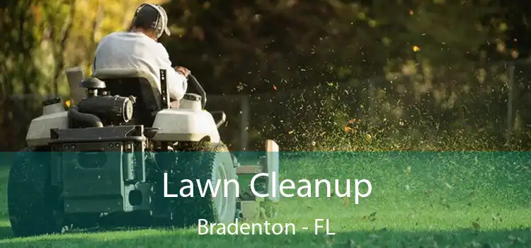Lawn Cleanup Bradenton - FL