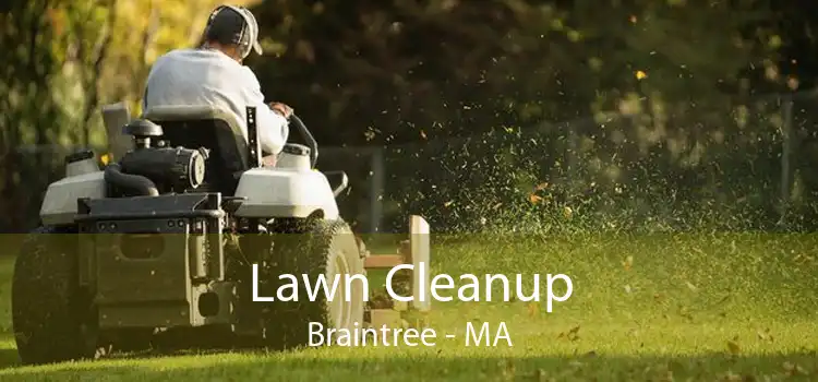 Lawn Cleanup Braintree - MA