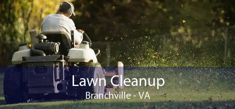 Lawn Cleanup Branchville - VA