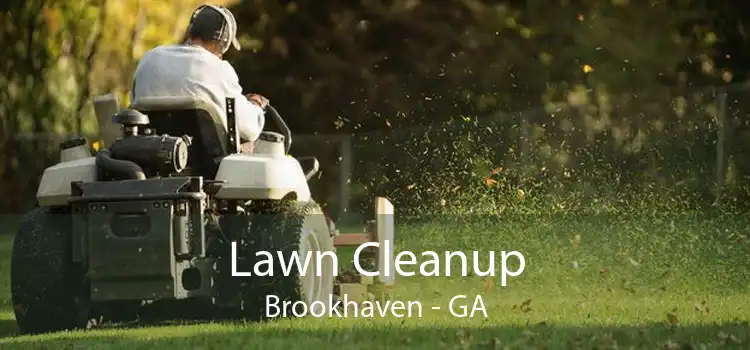 Lawn Cleanup Brookhaven - GA
