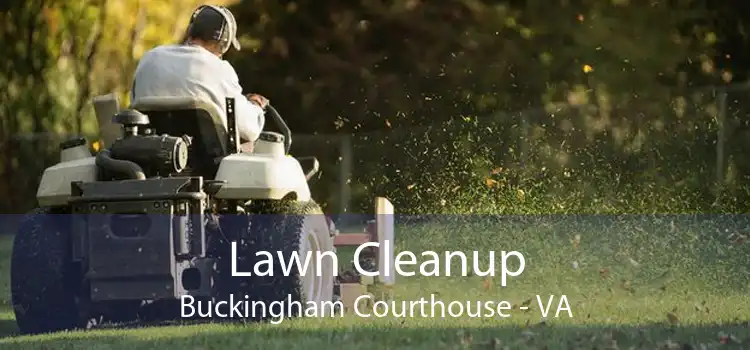Lawn Cleanup Buckingham Courthouse - VA