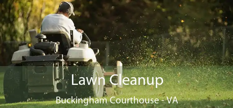 Lawn Cleanup Buckingham Courthouse - VA