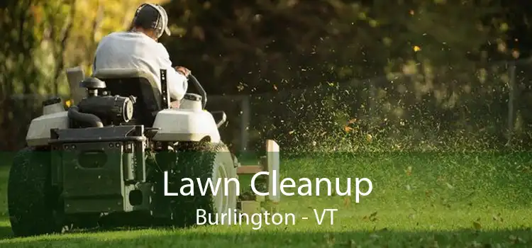 Lawn Cleanup Burlington - VT