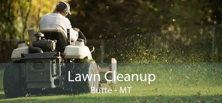 Lawn Cleanup Butte - MT