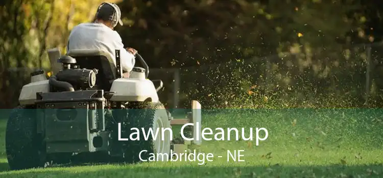 Lawn Cleanup Cambridge - NE