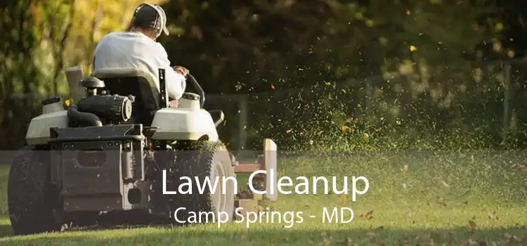 Lawn Cleanup Camp Springs - MD
