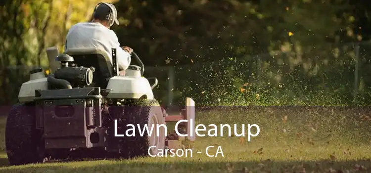 Lawn Cleanup Carson - CA