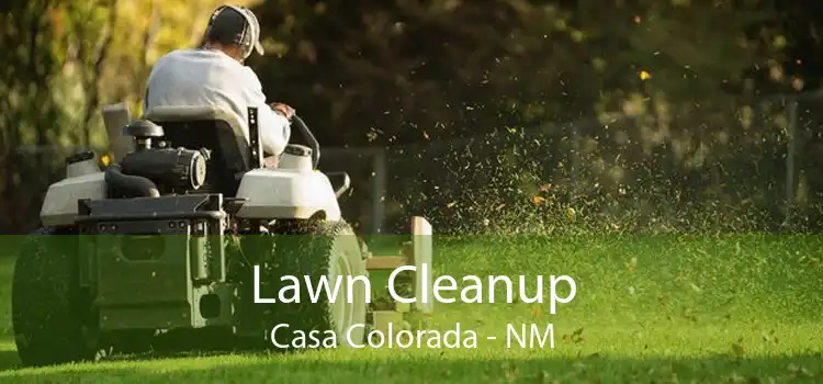 Lawn Cleanup Casa Colorada - NM