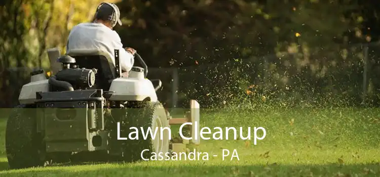 Lawn Cleanup Cassandra - PA