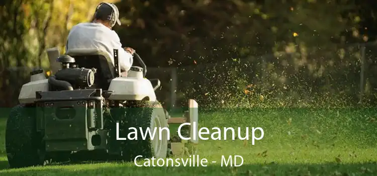 Lawn Cleanup Catonsville - MD