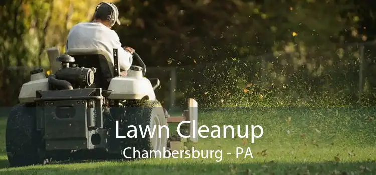 Lawn Cleanup Chambersburg - PA