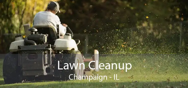 Lawn Cleanup Champaign - IL