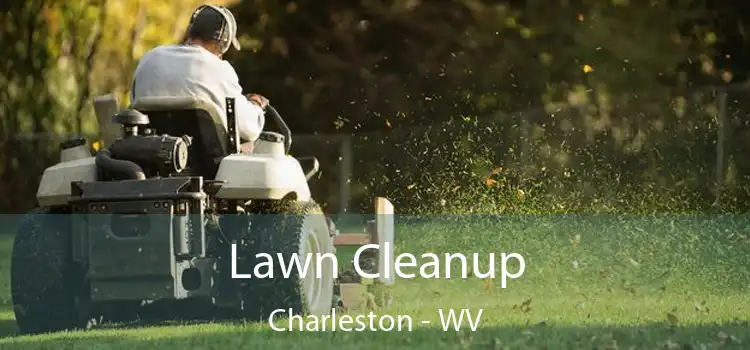 Lawn Cleanup Charleston - WV