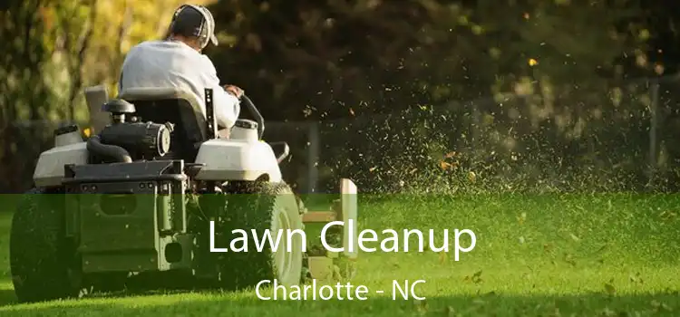 Lawn Cleanup Charlotte - NC