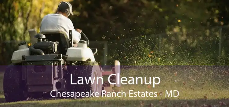 Lawn Cleanup Chesapeake Ranch Estates - MD