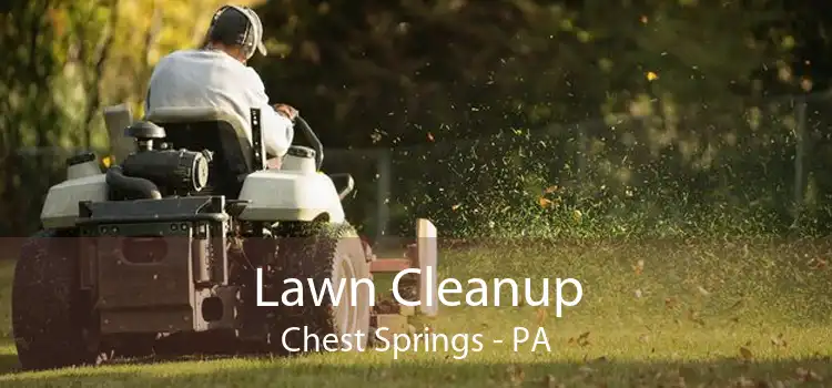 Lawn Cleanup Chest Springs - PA