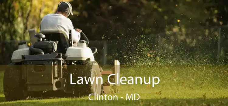  Lawn Cleanup Clinton - MD