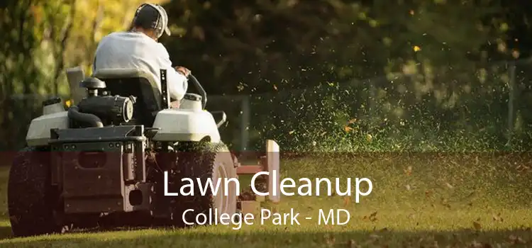 Lawn Cleanup College Park - MD