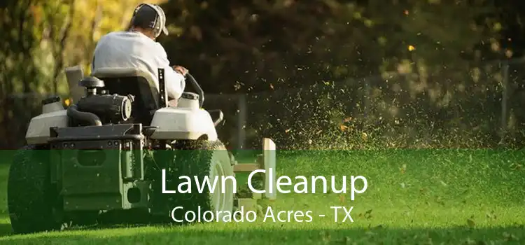 Lawn Cleanup Colorado Acres - TX