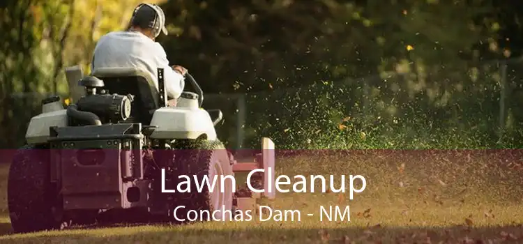 Lawn Cleanup Conchas Dam - NM