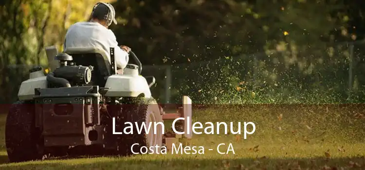 Lawn Cleanup Costa Mesa - CA