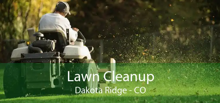 Lawn Cleanup Dakota Ridge - CO