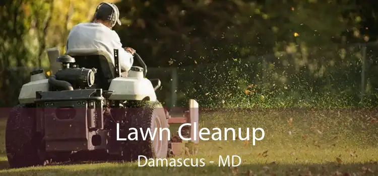 Lawn Cleanup Damascus - MD