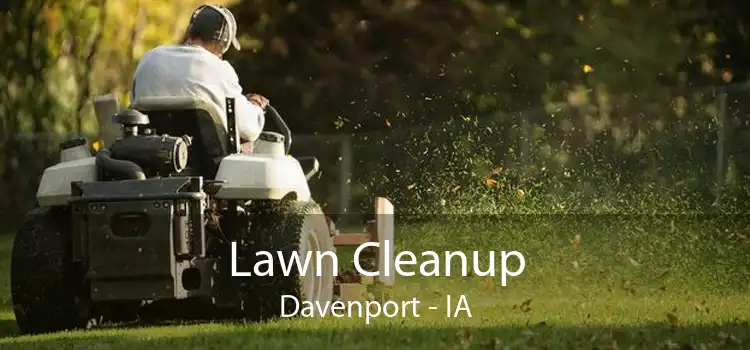 Lawn Cleanup Davenport - IA