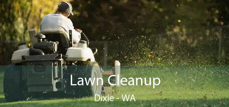 Lawn Cleanup Dixie - WA