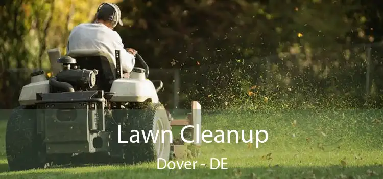 Lawn Cleanup Dover - DE