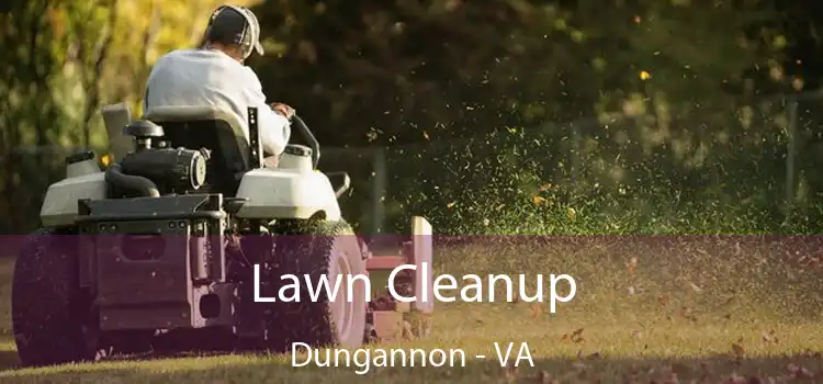 Lawn Cleanup Dungannon - VA