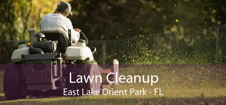 Lawn Cleanup East Lake Orient Park - FL