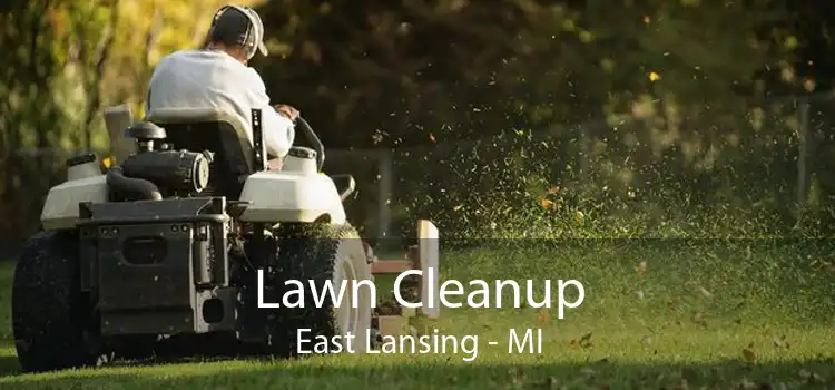 Lawn Cleanup East Lansing - MI